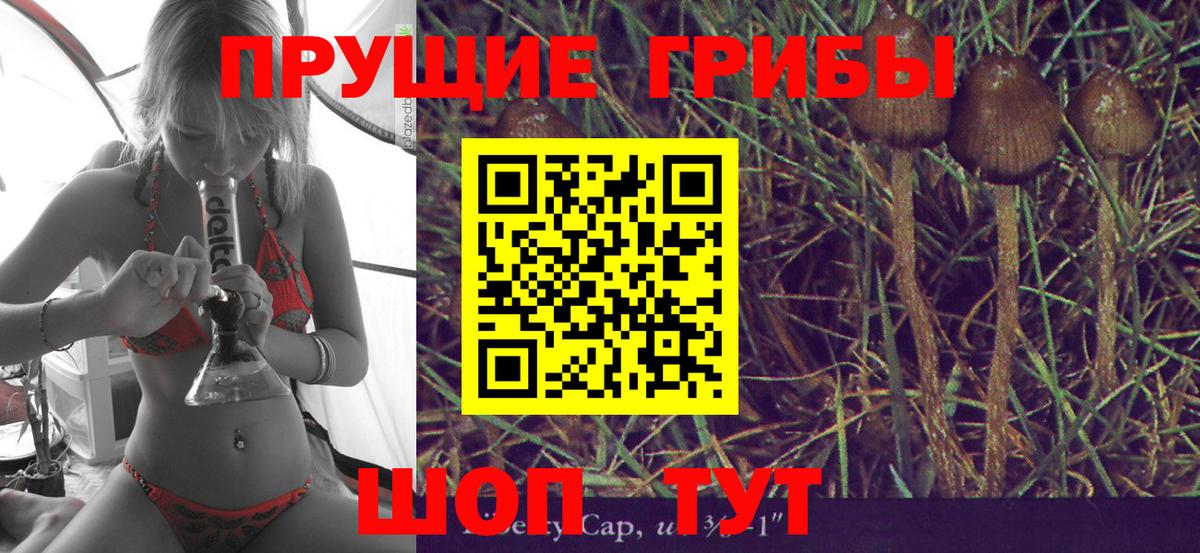 Галлюциногенные грибы Psilocybe  Галлюциногенные грибы мухоморы  Россия  Вход с VPN 